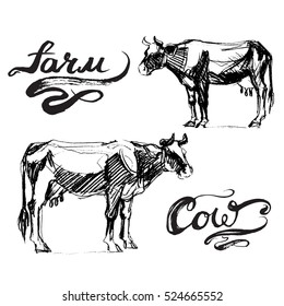 Cow Calf brown, vector