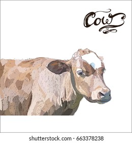 Cow Calf brown, vector