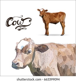 Cow Calf brown, vector