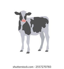 Cow Calf, Farming Flat Vector Illustration