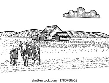 Cow and calf grazing on meadow. Farm Barn on the background. Hand drawn sketch illustration in engraving style. Countryside landscape