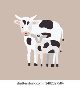 Cow with calf isolated on white background. Family of funny domestic herbivorous animals, cattle or livestock. Cute parent with child, mother and baby. Flat cartoon childish vector illustration.