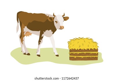 Cow or calf with stack of hay. Color flat vector illustration isolated on white background