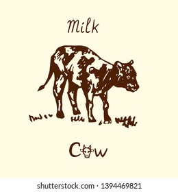 Cow calf standing side view, hand drawn doodle, sketch in pop art style, vector illustration