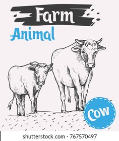 Cow and a calf walk along the road. Sketch style. Bull and calf return one by one from the pasture. Farm animals. Vector illustration.