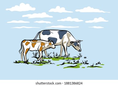 Cow and calf walking on the lawn. Stylish horizontal illustration in a delicate blue color. Vector.