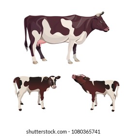 Cow with calves. Vector illustration isolated on white background