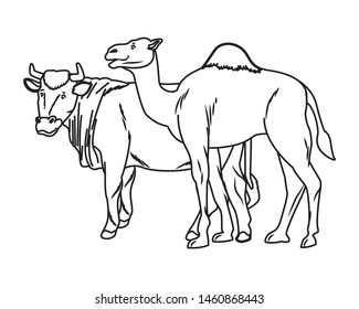 Cow and camel animals cartoon isolated vector illustration graphic design