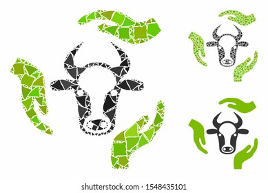 Cow care hands composition of abrupt parts in variable sizes and shades, based on cow care hands icon. Vector tremulant dots are composed into composition.