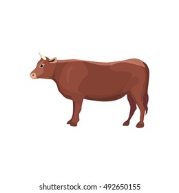 cow cartoon illustration.