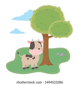 cow cartoon vector design vector illustration
