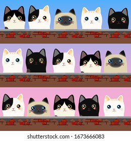 gato de vaca, gato siamés, gato blanco, gato negro bajo el cielo rosa azul gradiente, fondo de pared, gatito de mascota lindo, ilustración del vector animal dibujado a mano, elemento en forma de corazón,