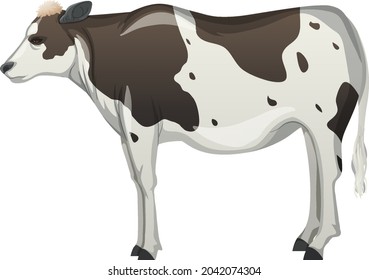 Cow or cattle farm animal on white background illustration