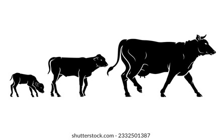 Cow or Cattle Growth Stages Silhouette Variations