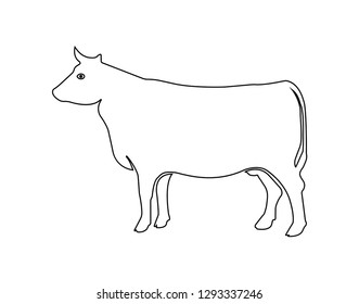 Cow / Cattle icon - Vector 
