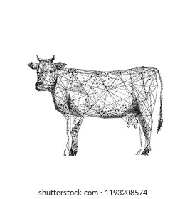 Cow. Cattle. Isolated black vector illustration in low-poly style on a white background. The drawing consists of thin lines and dots. Polygonal image on topics of animals or food. Low poly EPS.