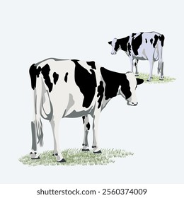 Cow cattle  poultry farm animal collection hand drawn vector illustration. Isolated on white background.