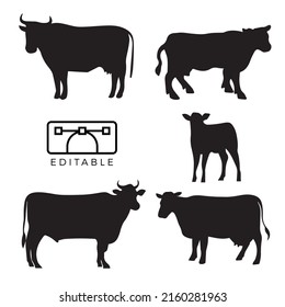 Cow Cattle Silhouette Isolated Set 