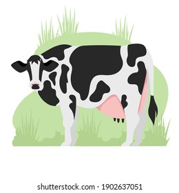 cow. cattle. vector image of a black and white cow. farming