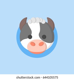Cow character illustration. Milk cow isolated flat head in circle with blue background.