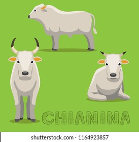 Cow Chianina Cartoon Vector Illustration