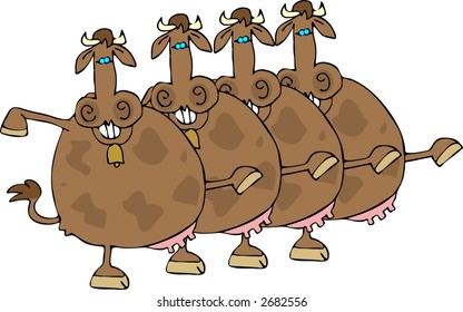 Cow Chorus Line