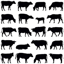 Cow Collection - Vector Silhouette