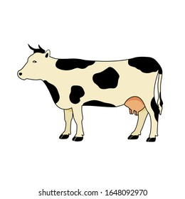 Cow color silhouette. Flat vector illustration on white background.