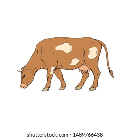 Cow colorful hand drawn illustration isolated vector ink