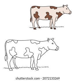 ilustración vectorial del libro de coloración de vaca 