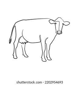 Cow Continuous Line Art Design Cow Stock Vector (Royalty Free ...