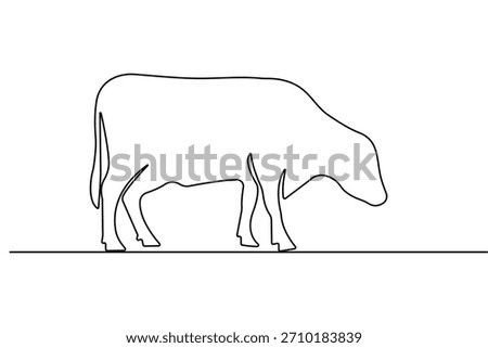 Cow continuous one line drawing minimalist style isolate outline vector illustration