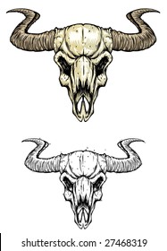 Cow cranium-color , black & white