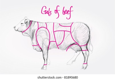 COW / Cuts of beef