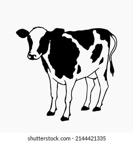 Cow Dairy Cattle Milk Cow Hand Stock Vector (Royalty Free) 2144421335 ...