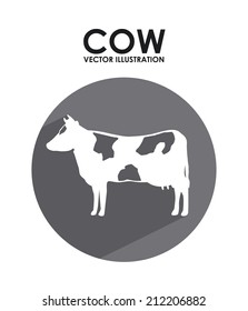 cow design over white background vector illustration