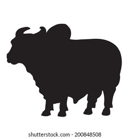 cow design vector