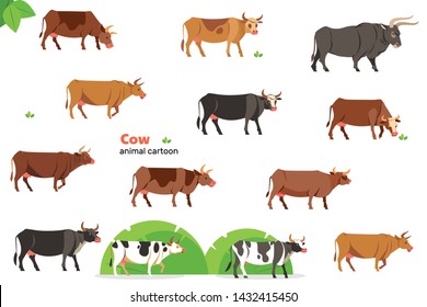 Cow. Different Breeds cows in Flat style standing on a white background