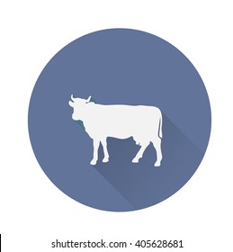 Cow domestic animal long shadow 