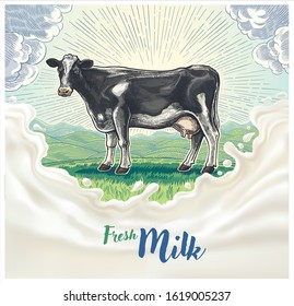 Cow, drawing in a graphic style, against the background of the morning rural landscape with hills, with design elements for milk label.