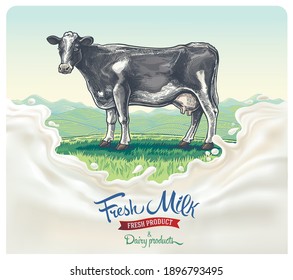 Cow, drawing in a graphic style, against the background of the rural landscape with hills, with a splash milk in the foreground.