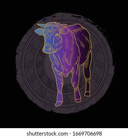 Cow  drawing on the black background