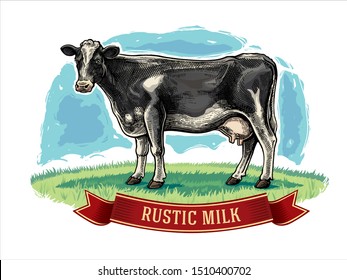 Cow drawn in a graphic style on a meadow with design elements for label.