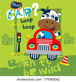 cow the driver funny cartoon,vector illustration