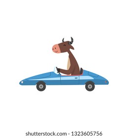 Cow Driving Blue Car, Farm Animal Character Using Vehicle Vector Illustration