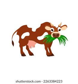 A cow eating grass. Cow isolated on a white background 