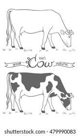 Cow. Cow eating grass. Cow isolated, set of vector elements