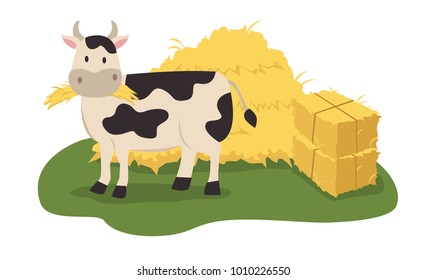 cow eating hay