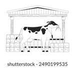 Cow eating hay in barn black and white flat line illustration. Milk farm animal with dried grass packs 2D lineart character isolated. Large cattle agricultural breeding monochrome vector outline image