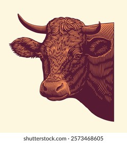 Cow. Editable hand drawn illustration. Vector vintage engraving. Isolated on light background. 8 EPS